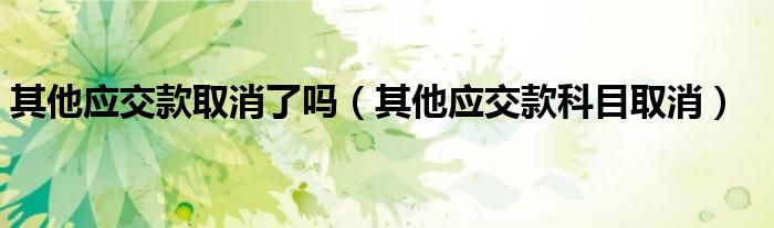 其他应交款取消了吗(其他应交款科目取消)