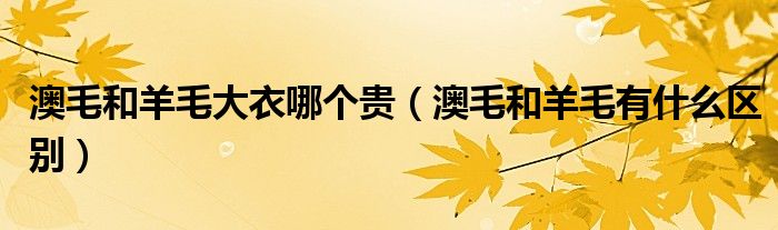 澳毛和羊毛大衣哪个贵(澳毛和羊毛有什么区别)