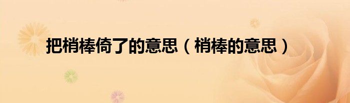 把梢棒倚了的意思(梢棒的意思)