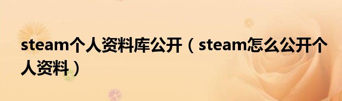 steam个人资料库公开(steam怎么公开个人资料)