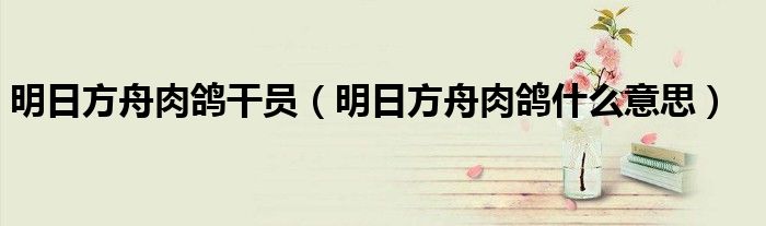 明日方舟肉鸽干员(明日方舟肉鸽什么意思)