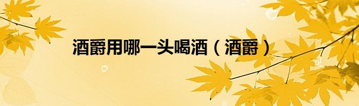 酒爵用哪一头喝酒（酒爵）