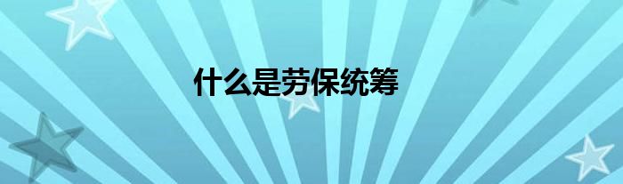 什么是劳保统筹