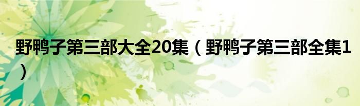 野鸭子第三部大全20集(野鸭子第三部全集1)