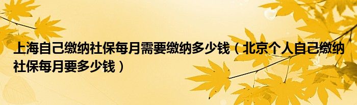上海自己缴纳社保每月需要缴纳多少钱(北京个人自己缴纳社保每月要多少钱)