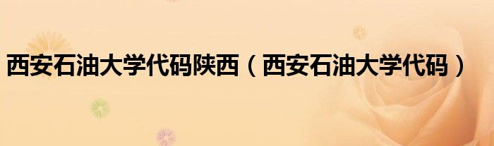 西安石油大学代码陕西(西安石油大学代码)