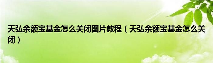 天弘余额宝基金怎么关闭图片教程(天弘余额宝基金怎么关闭)