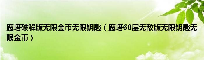 魔塔破解版无限金币无限钥匙(魔塔60层无敌版无限钥匙无限金币)