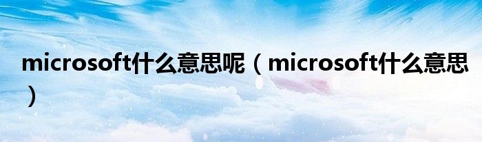 microsoft什么意思呢(microsoft什么意思)