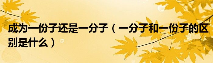 成为一份子还是一分子(一分子和一份子的区别是什么)