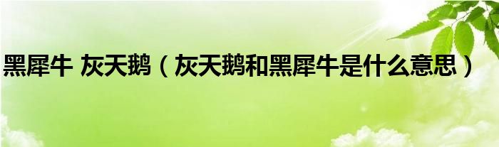 黑犀牛 灰天鹅(灰天鹅和黑犀牛是什么意思)