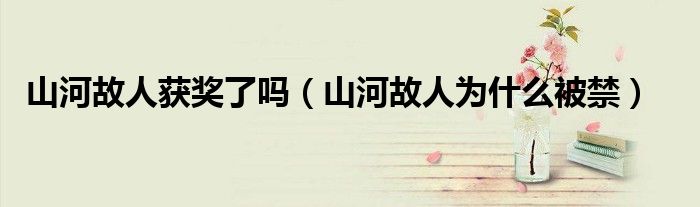 山河故人获奖了吗(山河故人为什么被禁)