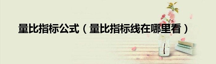 量比指标公式(量比指标线在哪里看)