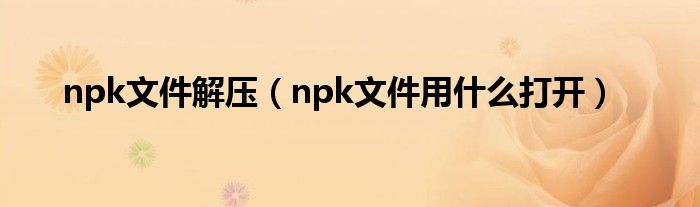 npk文件解压(npk文件用什么打开)