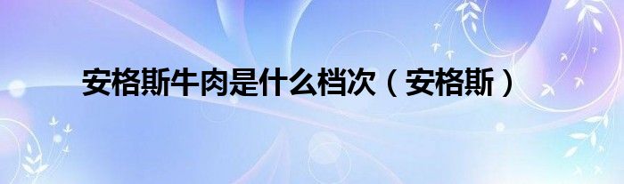安格斯牛肉是什么档次(安格斯)