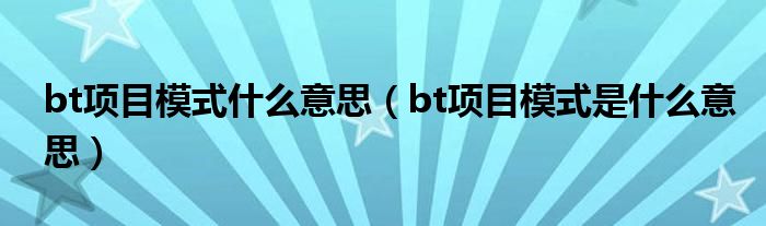 bt项目模式什么意思(bt项目模式是什么意思)