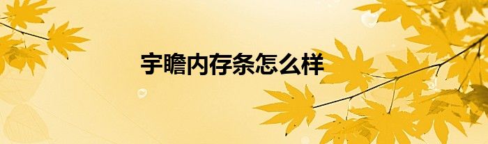 宇瞻内存条怎么样