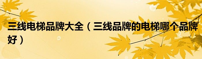 三线电梯品牌大全(三线品牌的电梯哪个品牌好)