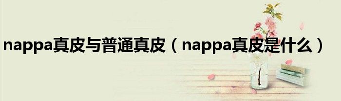 nappa真皮与普通真皮(nappa真皮是什么)