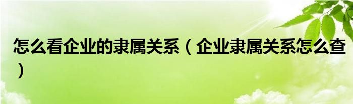 怎么看企业的隶属关系(企业隶属关系怎么查)