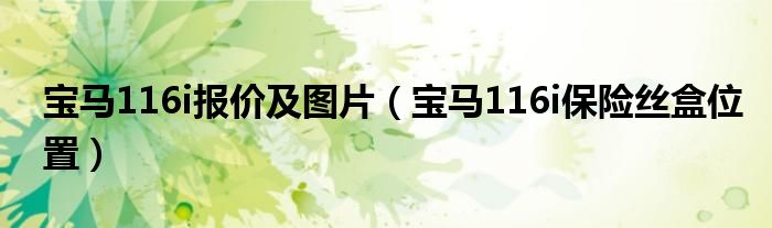 宝马116i报价及图片(宝马116i保险丝盒位置)