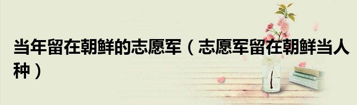 当年留在朝鲜的志愿军(志愿军留在朝鲜当人种)