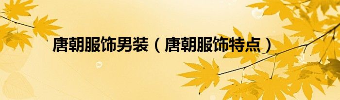 唐朝服饰男装(唐朝服饰特点)