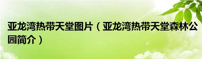 亚龙湾热带天堂图片(亚龙湾热带天堂森林公园简介)