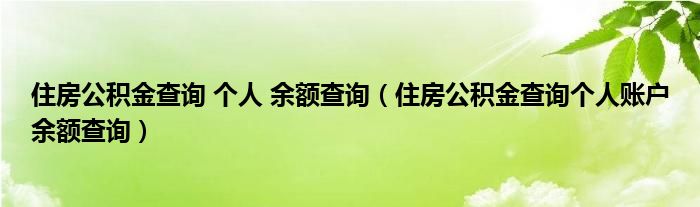 住房公积金查询 个人 余额查询(住房公积金查询个人账户余额查询)