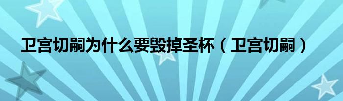 卫宫切嗣为什么要毁掉圣杯(卫宫切嗣)