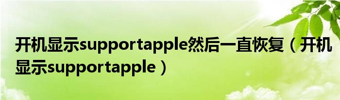 开机显示supportapple然后一直恢复(开机显示supportapple)