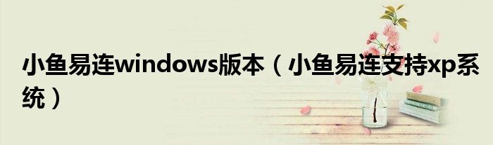 小鱼易连windows版本(小鱼易连支持xp系统)