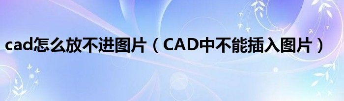 cad怎么放不进图片(CAD中不能插入图片)