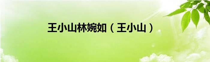 王小山林婉如（王小山）