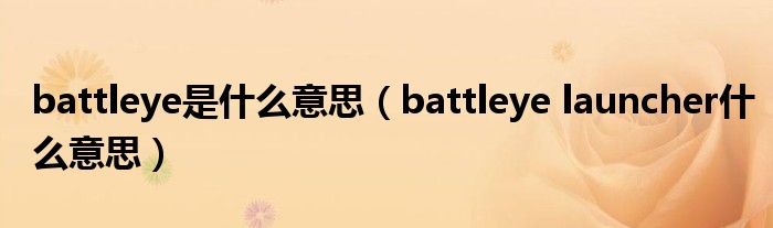 battleye是什么意思（battleye launcher什么意思）