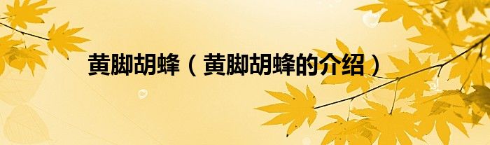 黄脚胡蜂(黄脚胡蜂的介绍)