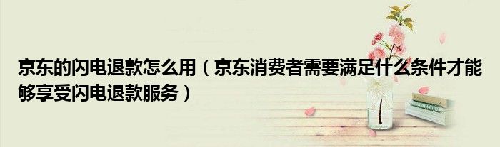 京东的闪电退款怎么用(京东消费者需要满足什么条件才能够享受闪电退款服务)
