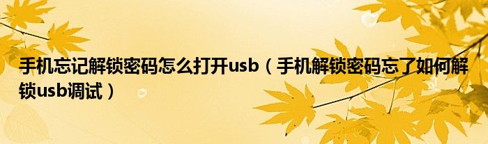 手机忘记解锁密码怎么打开usb(手机解锁密码忘了如何解锁usb调试)