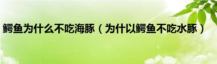 鳄鱼为什么不吃海豚（为什以鳄鱼不吃水豚）