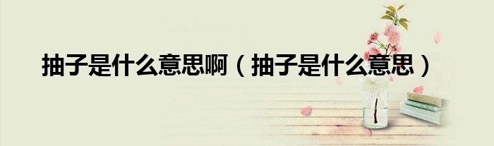 抽子是什么意思啊(抽子是什么意思)