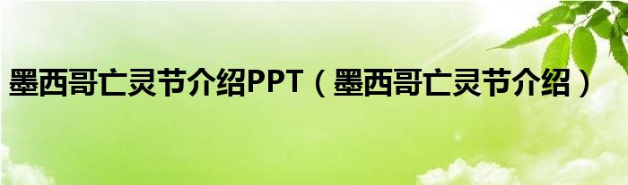 墨西哥亡灵节介绍PPT（墨西哥亡灵节介绍）