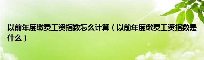 以前年度缴费工资指数怎么计算(以前年度缴费工资指数是什么)