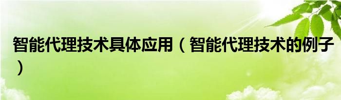 智能代理技术具体应用（智能代理技术的例子）