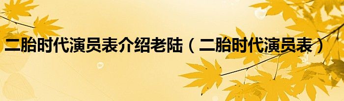 二胎时代演员表介绍老陆(二胎时代演员表)