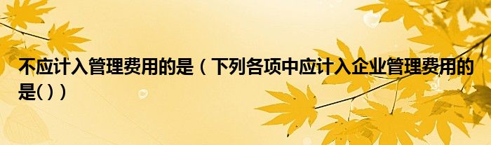 不应计入管理费用的是(下列各项中应计入企业管理费用的是( ))