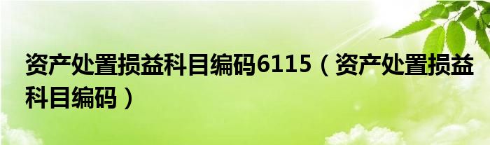 资产处置损益科目编码6115(资产处置损益科目编码)