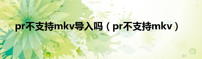 pr不支持mkv导入吗(pr不支持mkv)