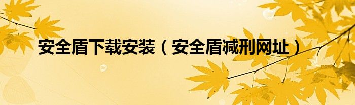 安全盾下载安装(安全盾减刑网址)