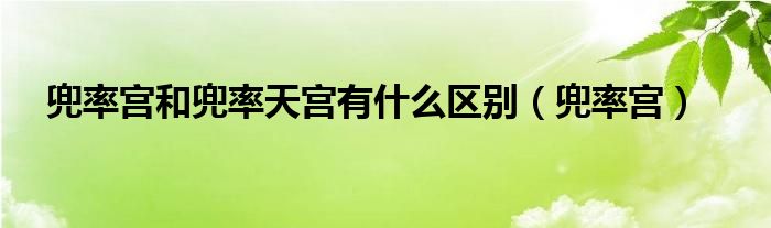 兜率宫和兜率天宫有什么区别(兜率宫)