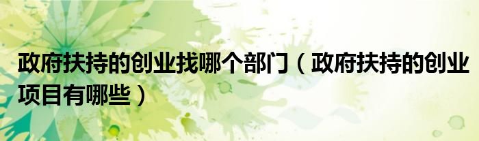 政府扶持的创业找哪个部门(政府扶持的创业项目有哪些)
